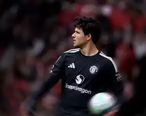 Lammens lett a szezon legjobb igazolása a Premier League-ben