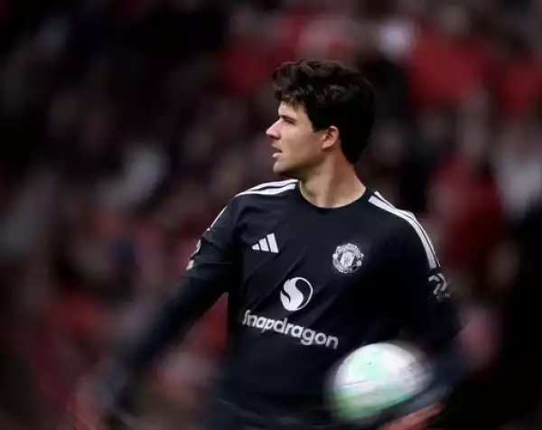 Lammens lett a szezon legjobb igazolása a Premier League-ben