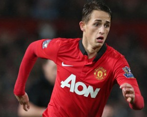 Moyes megvédi Januzajt